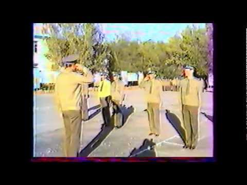 Видео: городок Дружный