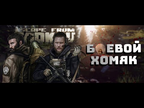 Видео: Побегаем чутка#eft #escapefromtarkov #bOeBoU_XoM9K)#eft #escapefromtarkov #bOeBoU_XoM9K