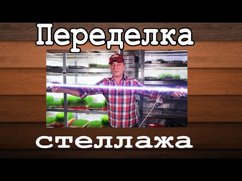 Видео: Стеллаж и свет для микрозелени.  микрозелень дома