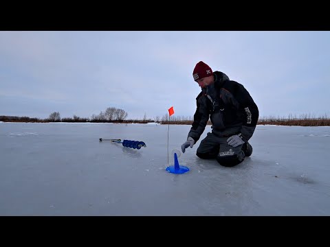 Видео: ЭТИ ЖЕРЛИЦЫ НЕ ДАЮТ ПОКОЯ! Ловля со льда на живца. Беспредел зубастых!