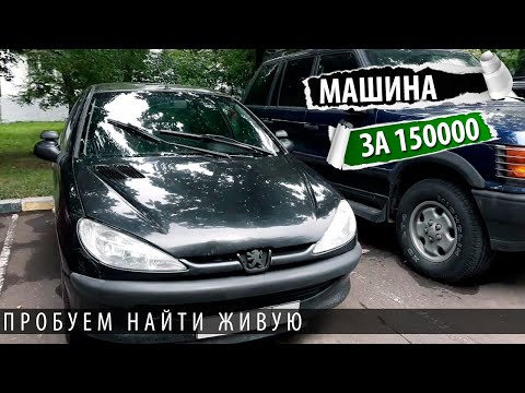Видео: Машина за 150 000 рублей. Пежо 206