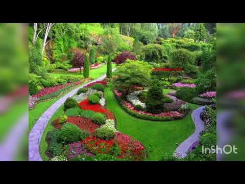 Видео: "Английская лужайка "Рассказ. читает автор