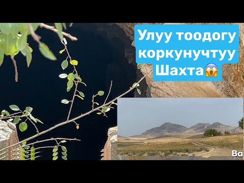 Видео: Ноокат - Улуу тоого сапар 😱