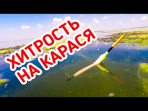 Видео: Рыбалка на КАРАСЯ! Бешеный КЛЁВ! Он просто ДУРЕЕТ от Рваного Красного!