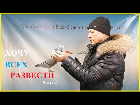 Видео: ХОЧУ ВСЕХ РАЗВЕСТИ 2часть