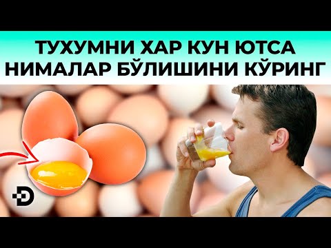 Видео: ХАР КУН ОЧ ҚОРИНГА ТУХУМ ЮТДИМ ВА МАНА МЕНГА НИМА БЎЛДИ...