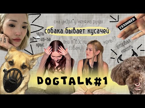 Видео: DOG TALK: собаки не обижаются, аллергия, агрессивный пудель и деревенские нравы