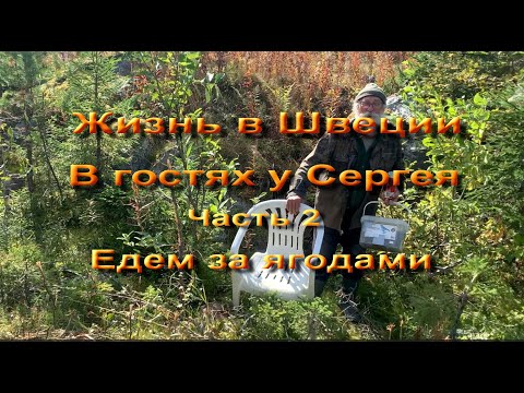 Видео: Жизнь в Швеции.  В гостях у Сергея.  Часть 2. Едем в лес за ягодами.