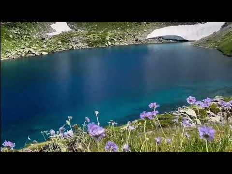 Видео: Солтан Байкулов «Сокъ, сокъ» новинка 2023