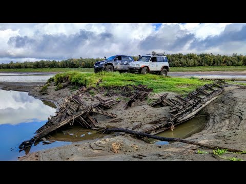 Видео: Испытываю резину CST Land Dragon CL18  в бездонном иле