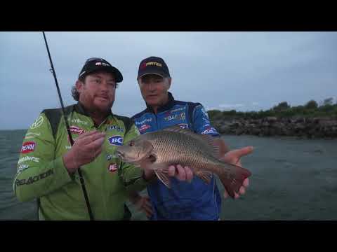 Видео: Ловля мангровых ставрид на живую приманку в Новом Южном Уэльсе!