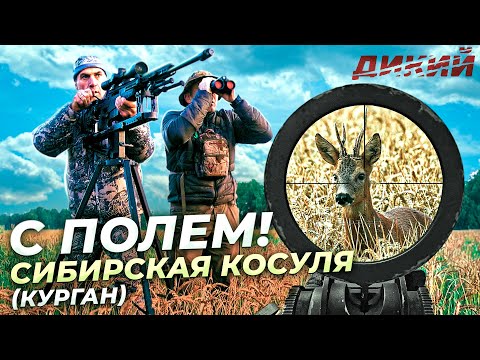Видео: С полем!🦌 Охота на косулю в Курганской области.