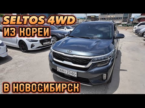 Видео: Авто из Кореи SELTOS 4WD в Новосибирск июнь 2024