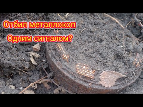 Видео: Весенней выезд на полевой стан.