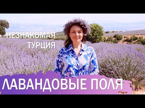 Видео: Незнакомая Турция. Лавандовые поля