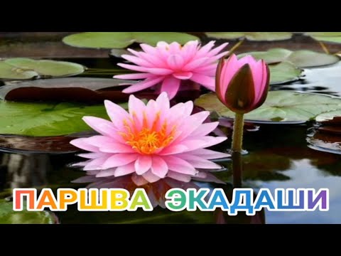 Видео: ПАРШВА / ПАРИВАРТИНИ / ВАМАНА ЭКАДАШИ .