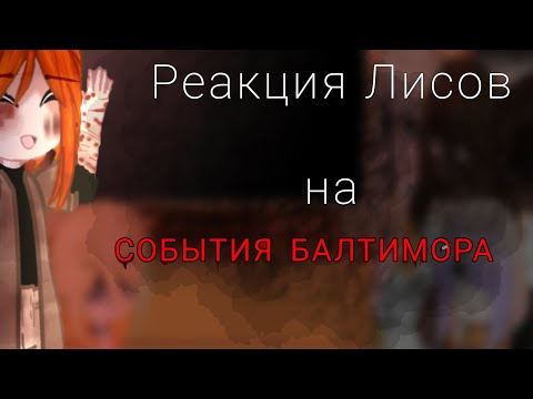 Видео: реакция Лисов на события Балтимора| gacha nebula reaction| ВРИ!АУ