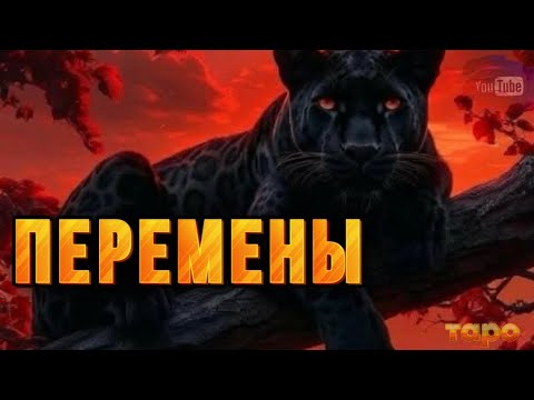 Видео: ☎️‼️ДВЕРЬ⁉️КОТОРАЯ ЗАКРОЕТСЯ НАВСЕГДА👏🔥