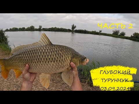 Видео: Глубокий Турунчук. Ловим карпа на горох. Часть 2