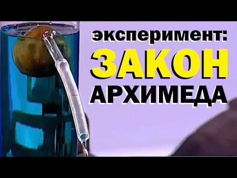 Видео: Галилео. Эксперимент. Закон Архимеда