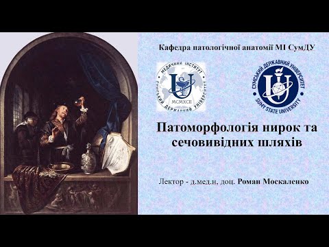 Видео: Патоморфологія нирок та сечовивідних шляхів