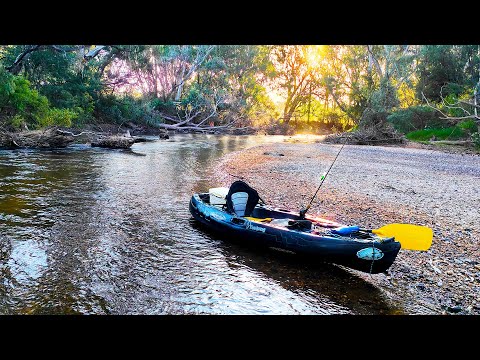 Видео: Эпическая рыбалка на мюррейскую треску с моего каяка