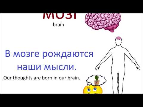 Видео: № 202   Учим русский язык: сердце, мозг, печень....как называются внутренние органы человека?