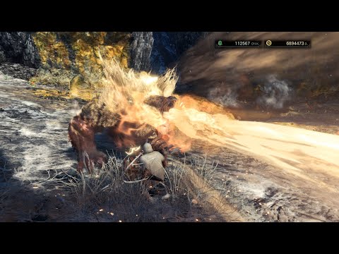 Видео: Monster Hunter World: Iceborne [25] - Неистовый брахидиос и взбешенный раянг