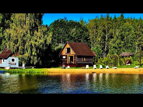 Видео: Изба «Семейная» - ответы на самые популярные вопросы гостей