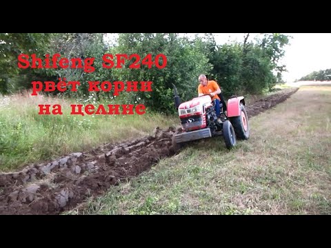 Видео: Шифенг Shifeng SF 240 на целине с самодельным плугом.