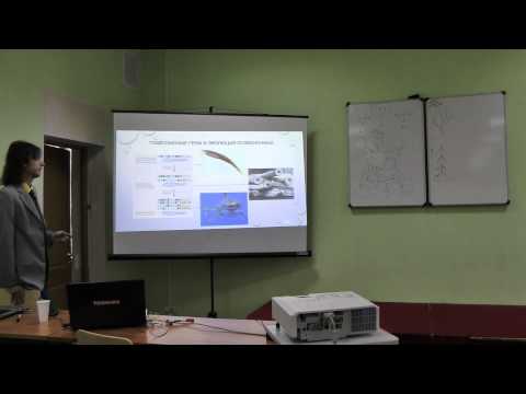 Видео: 4.11.13 Эволюция - Носов Георгий часть 2