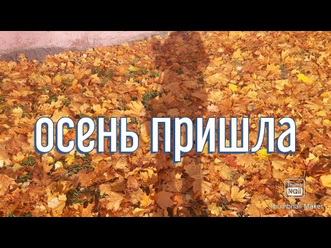 Видео: Vlog Что изменила в квартире ? 