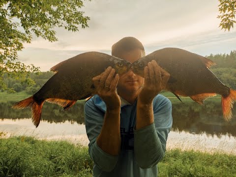 Видео: Ловля леща в июле. Западная Двина.Daugava.На Рыбалку, для души!!!