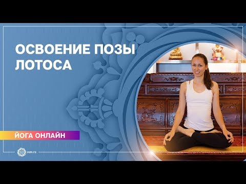 Видео: Йога онлайн. Как сесть в позу лотоса. Падмасана