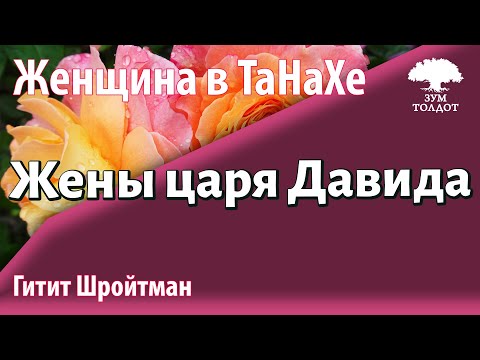 Видео: Урок для женщин. Жёны царя Давида. Гитит Шройтман