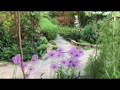 Видео: НЕПРЕРЫВНО ЦВЕТУЩИЙ ЮЖНЫЙ САД. 4 мая 2024.