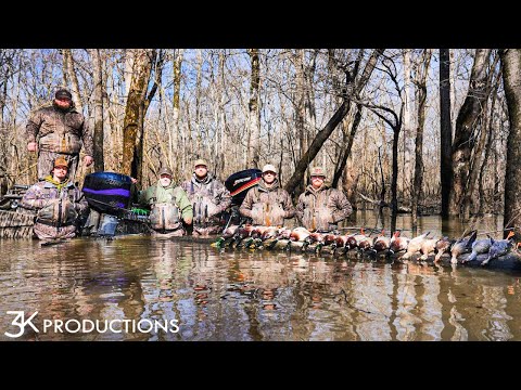 Видео: Охота на уток в общественных землях Арканзаса | Январская кряква