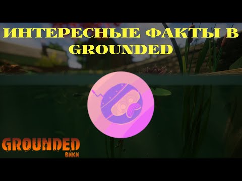 Видео: ИНТЕРЕСНЫЕ ФАКТЫ В GROUNDED  2 ЧАСТЬ + Grounded Вики