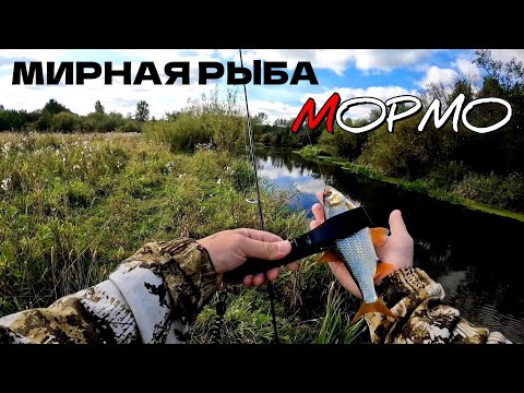 Видео: Рыба любит черный цвет. Мормышинг наноджиг ультралайт