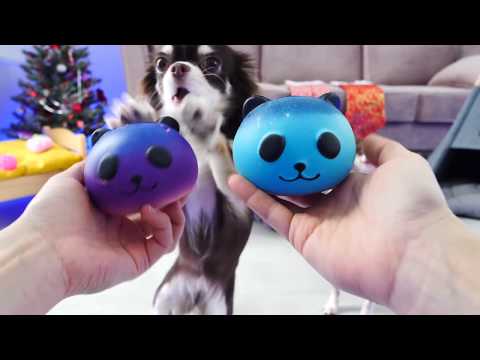 Видео: АНТИСТРЕССЫ ПРОТИВ ВОЛШЕБНЫХ ПИТОМЦЕВ! ЧТО ВНУТРИ СКВИШИ?