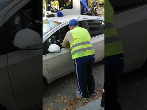 Видео: Общинска " полиция".. .! Тези ги храним! 9