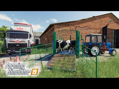 Видео: КУПИЛИ КОРОВ НА ФЕРМУ! ПЕТРОВИЧ ПОПАЛ В ДТП НА МАЗУРИКЕ! FARMING SIMULATOR 19