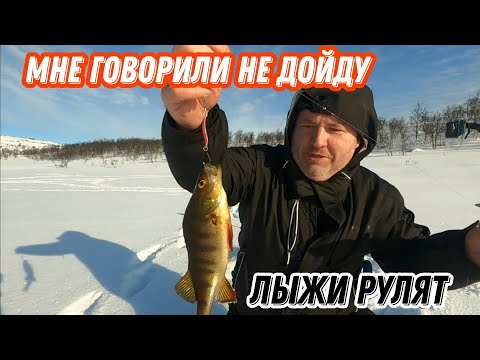 Видео: На ЛЫЖАХ по ГОРНЫМ хребтам за ЩУКОЙ и ОКУНЕМ.