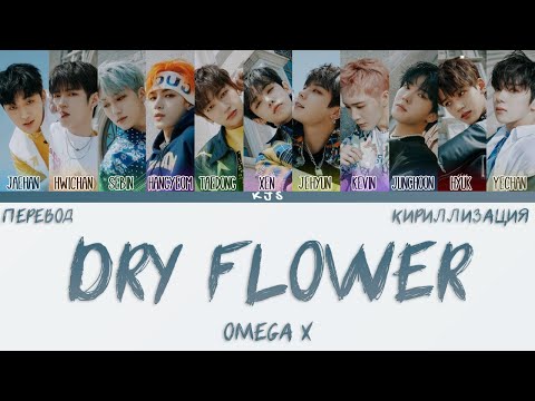 Видео: OMEGA X - DRY FLOWER [ПЕРЕВОД/КИРИЛЛИЗАЦИЯ/COLOR CODED LYRICS]