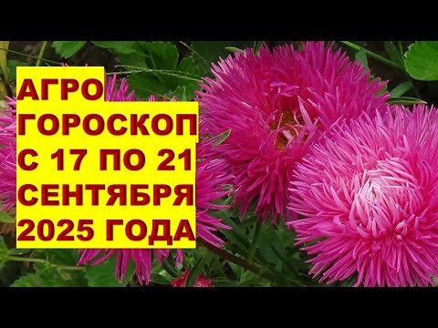 Видео: Что делать в саду с 17 по 21 сентября 2025 года?