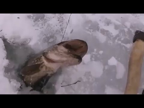 Видео: Рыбалка Проверка самоловак