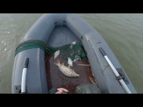 Видео: рыбалка кастинговой сетью с ячейкой 40мм  2024 г. ( отличный улов сазаны есть )