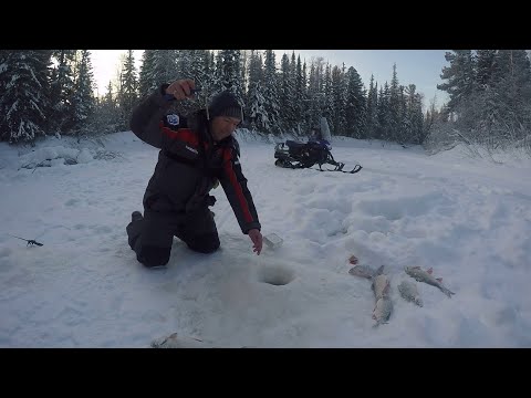 Видео: Вот это удачно я переехал. Рыбалка на красивой таёжной речушки.