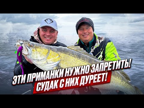 Видео: СПИННИНГ В ДУГУ ОТ ЭТИХ ГОДЗИЛЛ ! РЫБАЛКА МЕЧТЫ! СУДАК НА 8кг ВЗЯТ! 