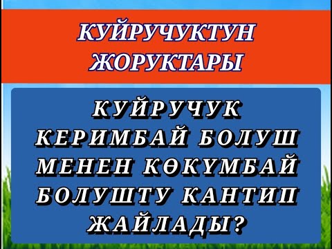 Видео: Касымалы Бектенов// Куйручук// Кукең Керимбай болуш мн Көкүмбай болушту кантип жайлады? //Аудиокитеп
